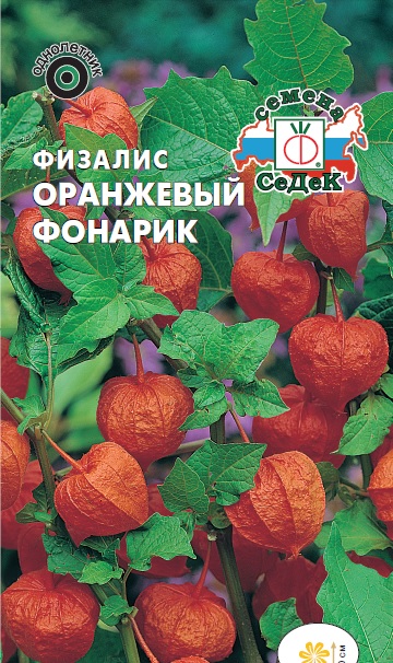 Семена цветов - Физалис Оранжевый Фонарик 0,1 г - 2 пакета