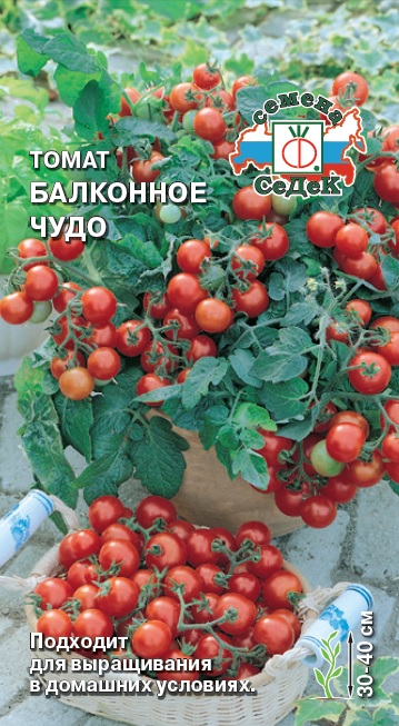 Семена - Томат Балконное Чудо 0,1 г - 2 пакета