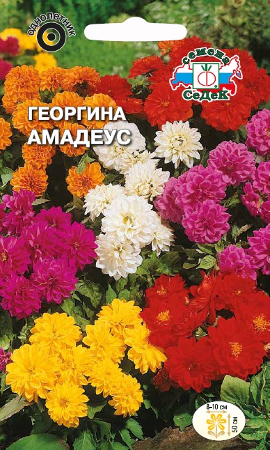 Семена цветов - Георгина Амадеус (смесь цветов) 0,15 г