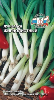 Семена - Лук Жирнолистный 1 г - 2 пакета